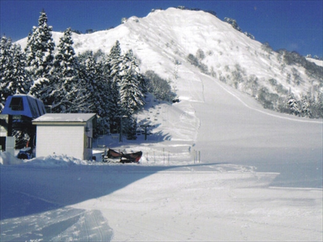 只見スキー場で雪遊び♪スキー以外にもスノーシューやスノーモービル体験も楽しめます！