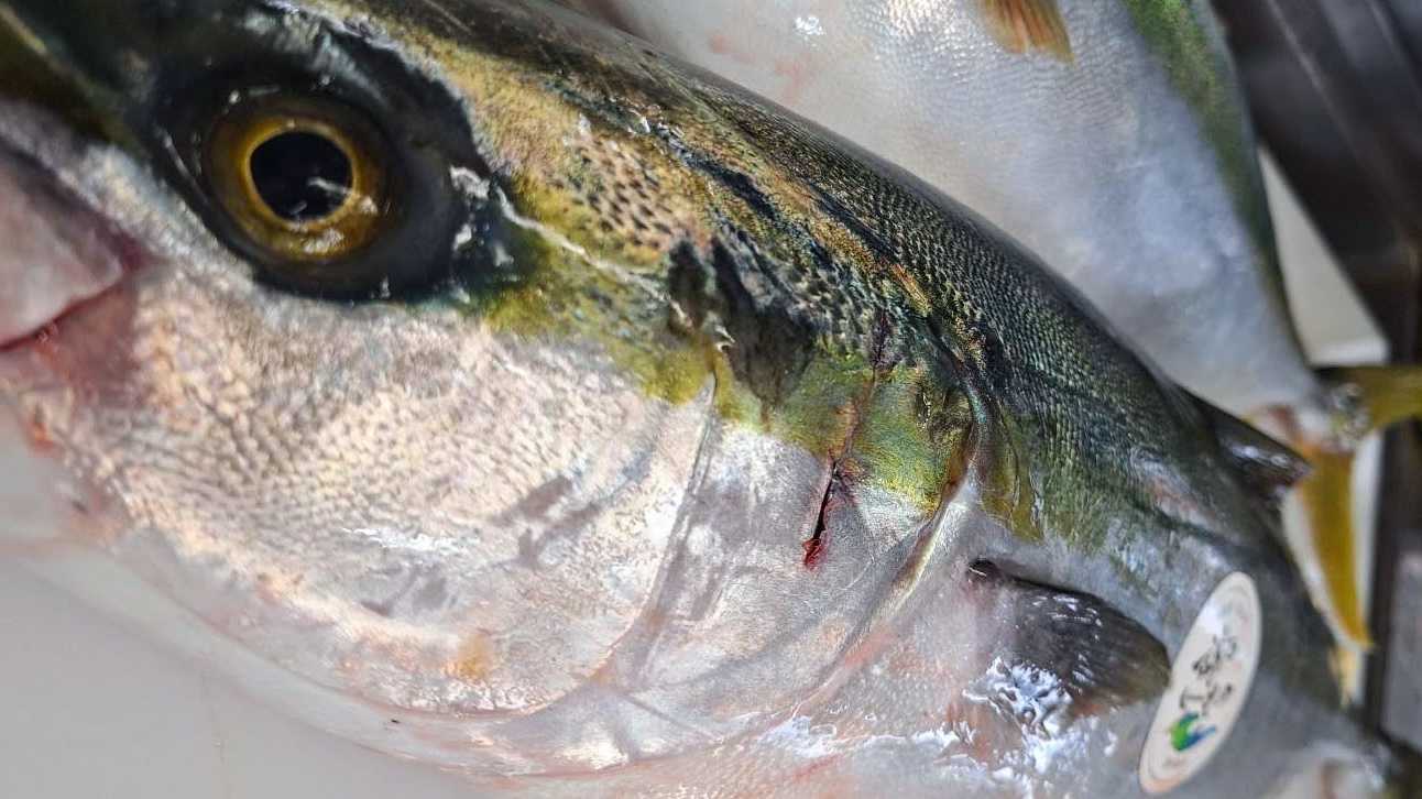 県内の浪江町でトレピチ★請戸漁港で水揚げされた絶品の印【請戸もの(うけどもの)】！