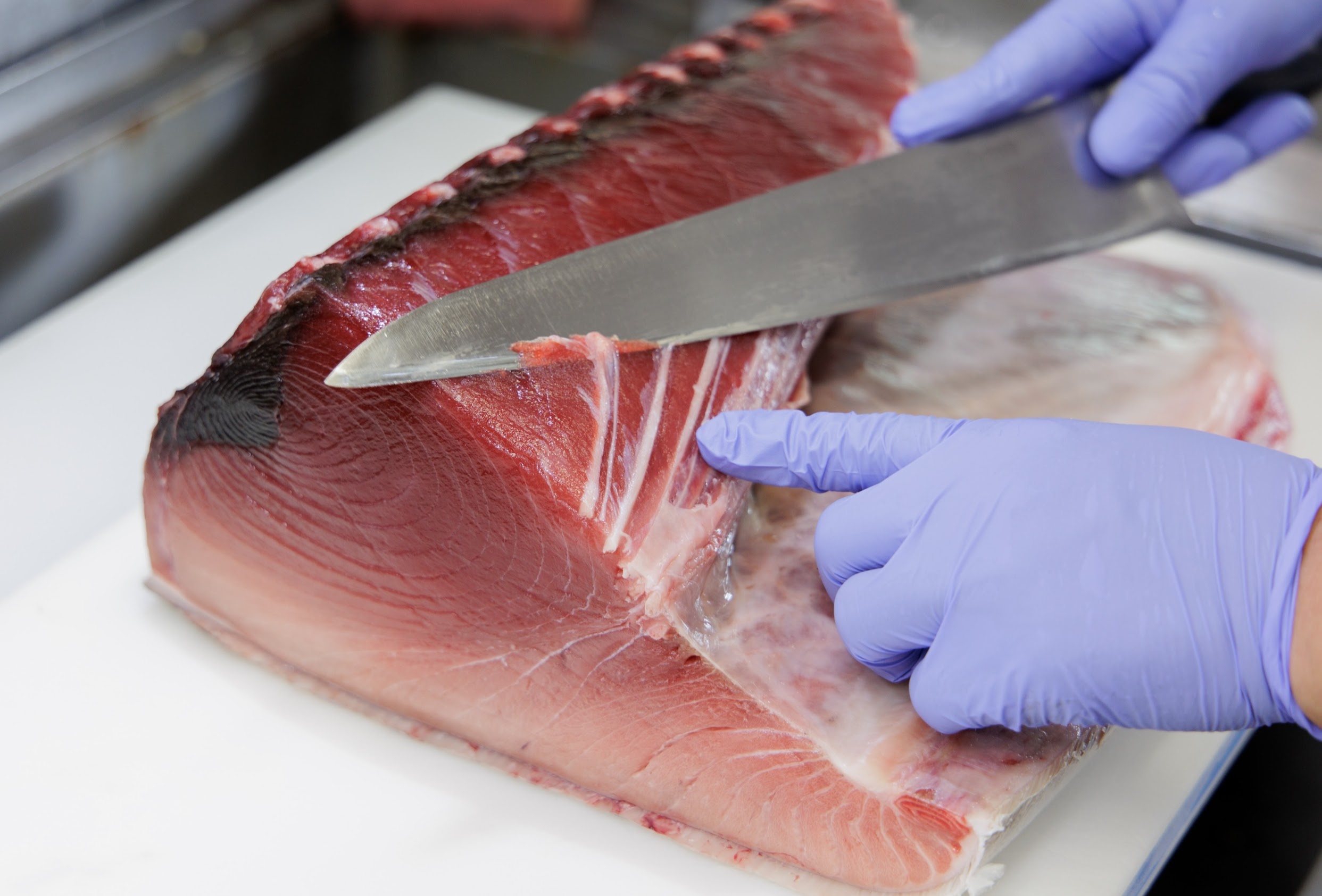 黒澤料理長が信頼する卸問屋から届く新鮮な魚貝類！届いたマグロの赤身もトロも美しいのが新鮮な証拠