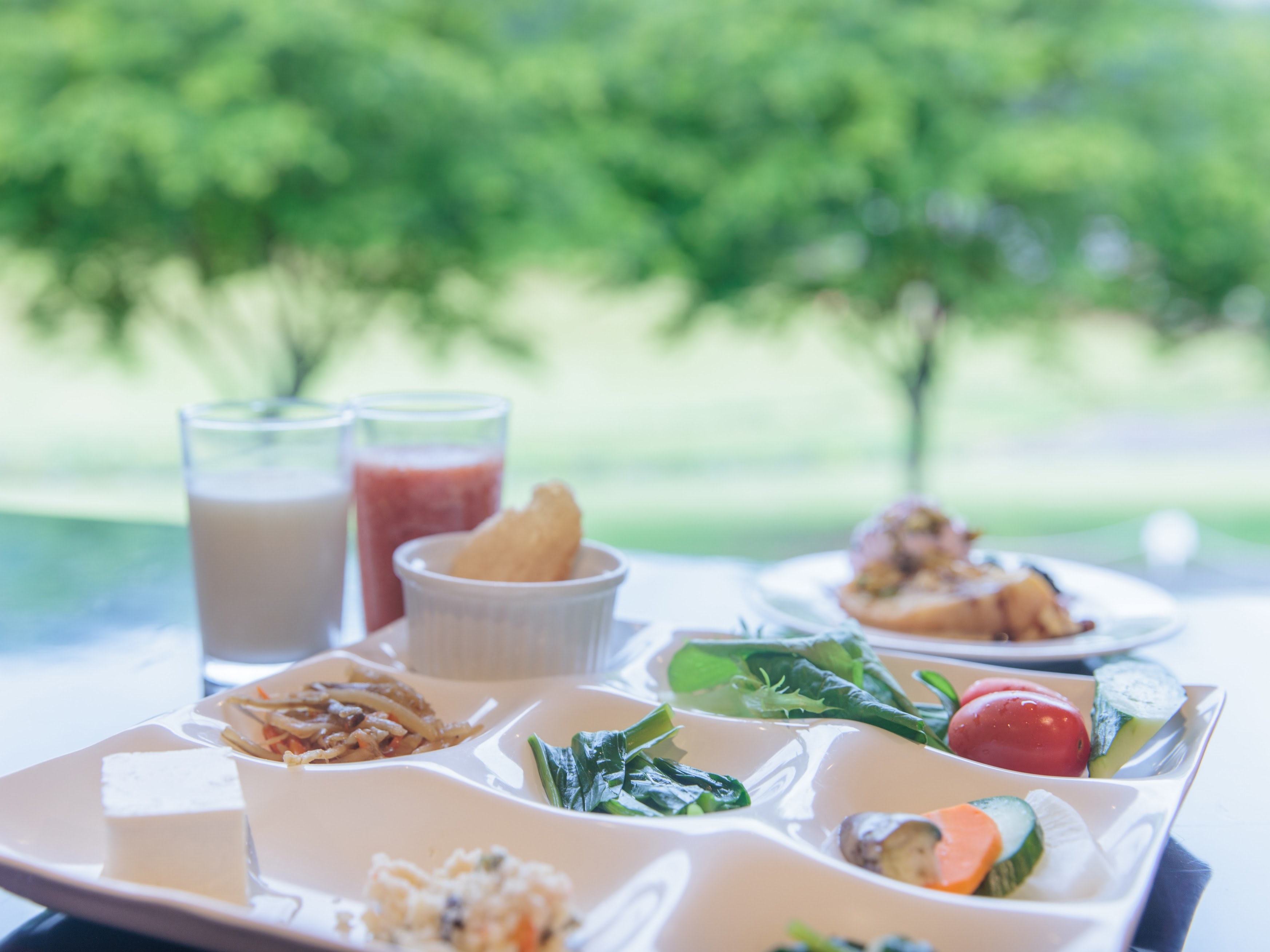 朝の中庭は清々しい緑。風に揺れる木々を眺めながら口コミでも高評価の朝食バイキングに舌鼓。