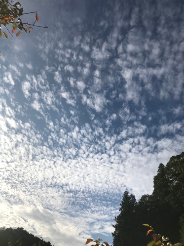 秋の空