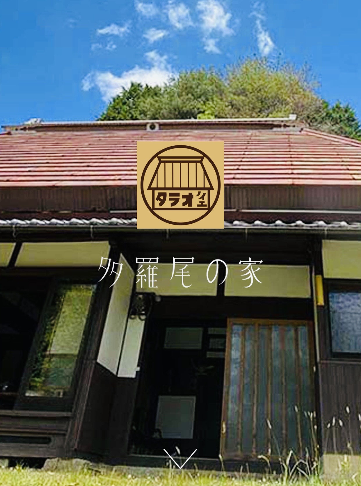 タラオノイエ