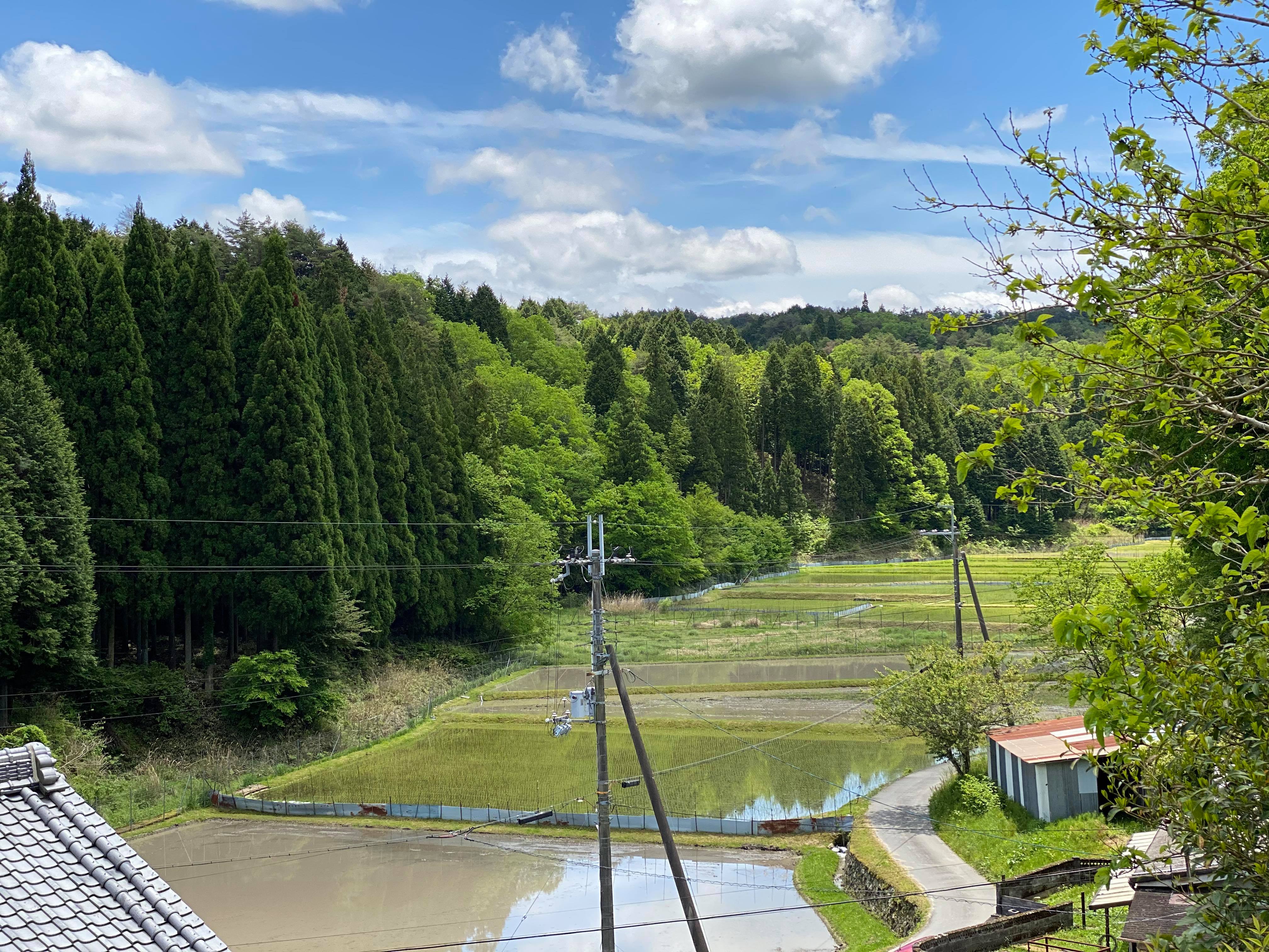 懐かしいような田園風景