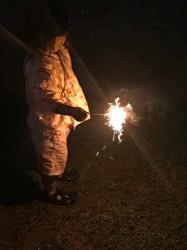 お庭で花火