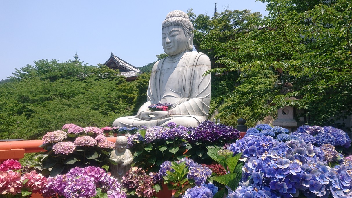 壷阪寺（壷阪山南法華寺）