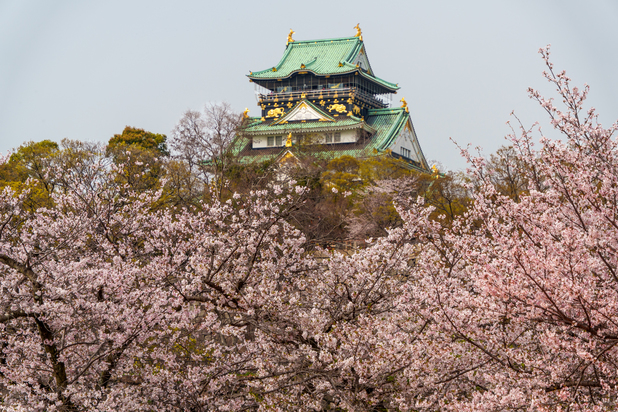 春限定◎桜満開ステイプラン 50％OFF（素泊）※返金不可