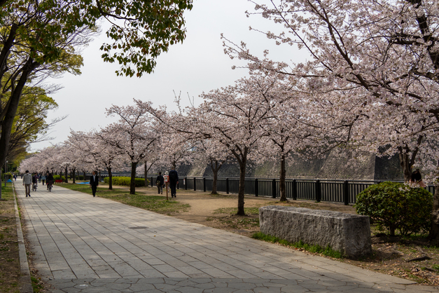 春限定◎桜満開ステイプラン 50％OFF（朝食付）※返金不可
