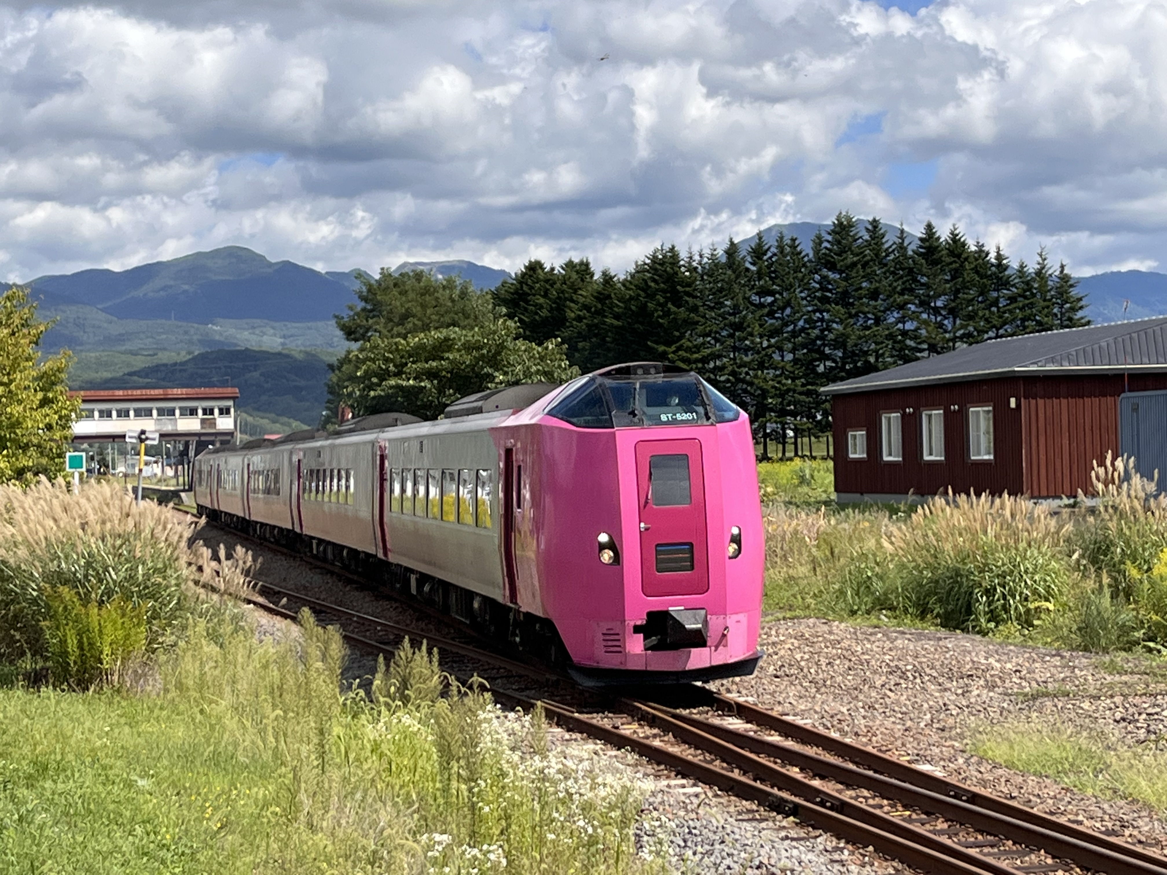 ニセコエクスプレス 蘭越駅　花一会