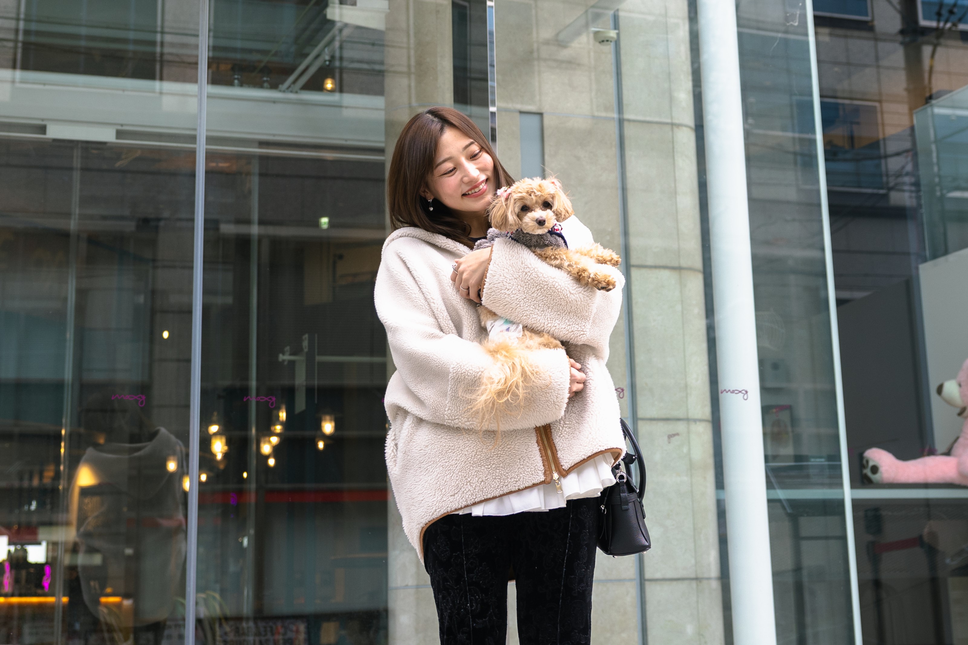 ドッグラバーズ・ウェルカムプラン③