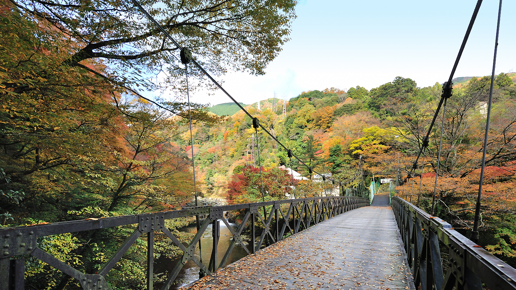 吊り橋 秋