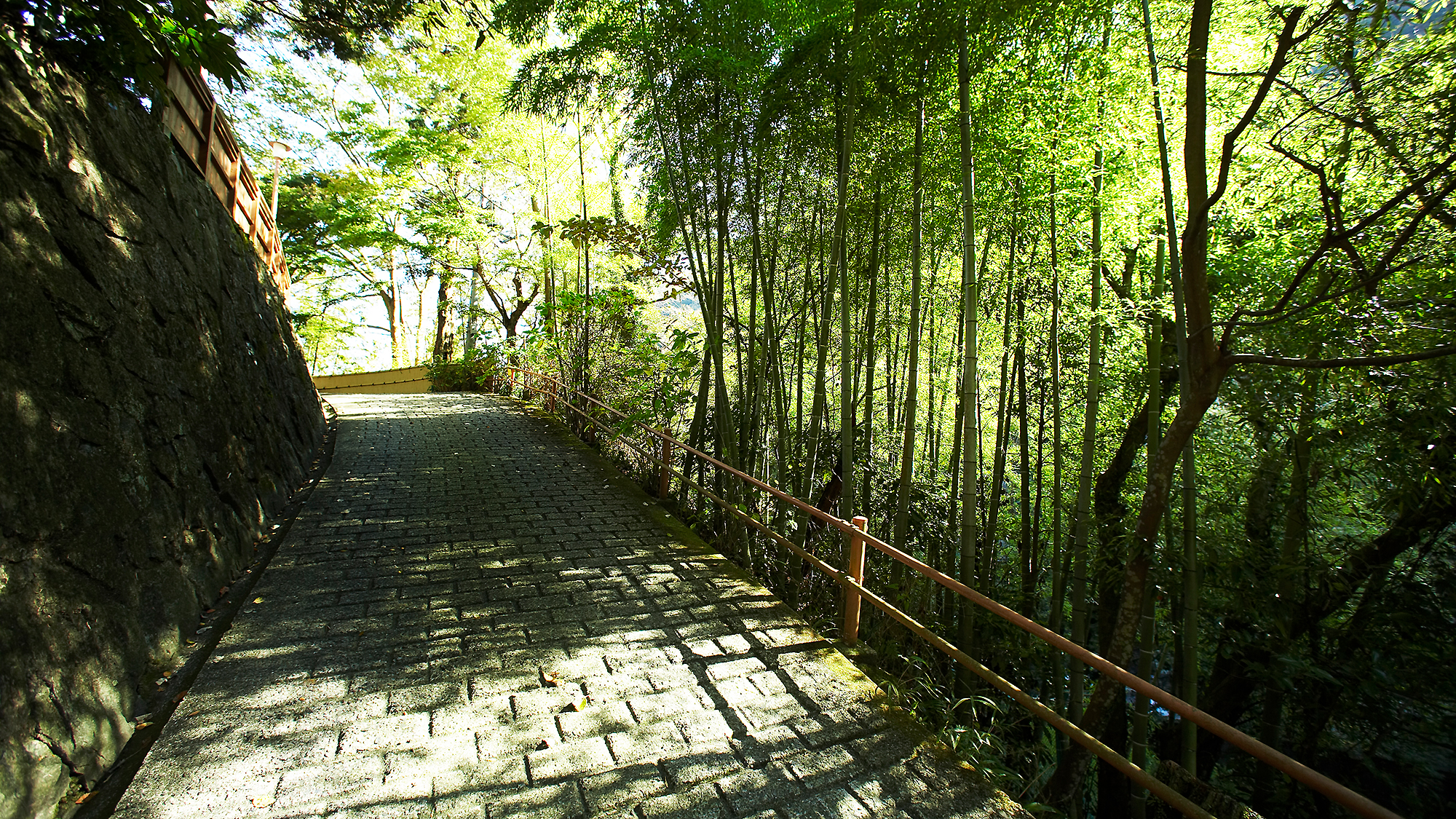 玄関前 坂道