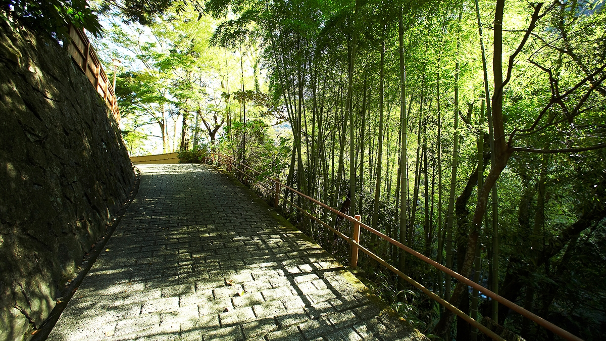 山の茶屋(眺望・庭園)