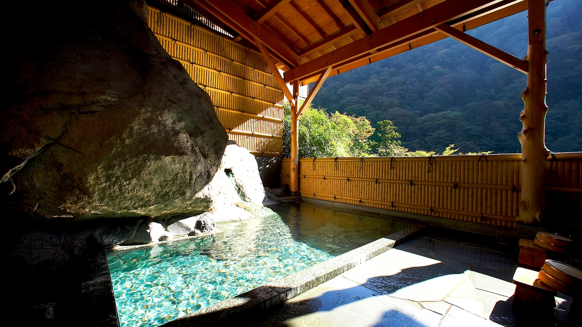 山の茶屋(スパ・温泉・プール)