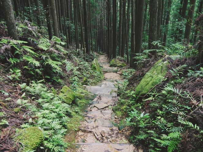 熊野古道は当館目の前～♪