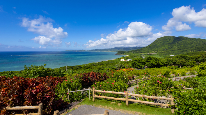 【直前割】14日前からお得！直近の石垣島旅行＆出張の方必見♪ （素泊り）