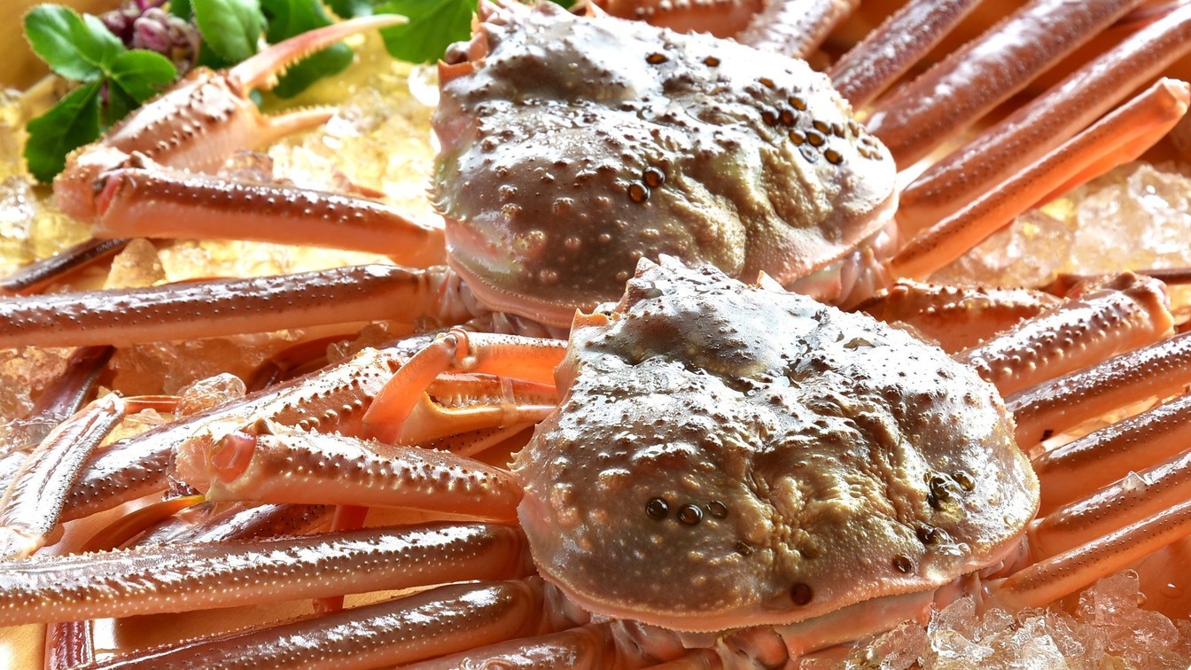 【活ズワイガニ会席】冬の味覚の王様　ズワイガニを食す　2食付　いけすのカニを１杯まるごと！
