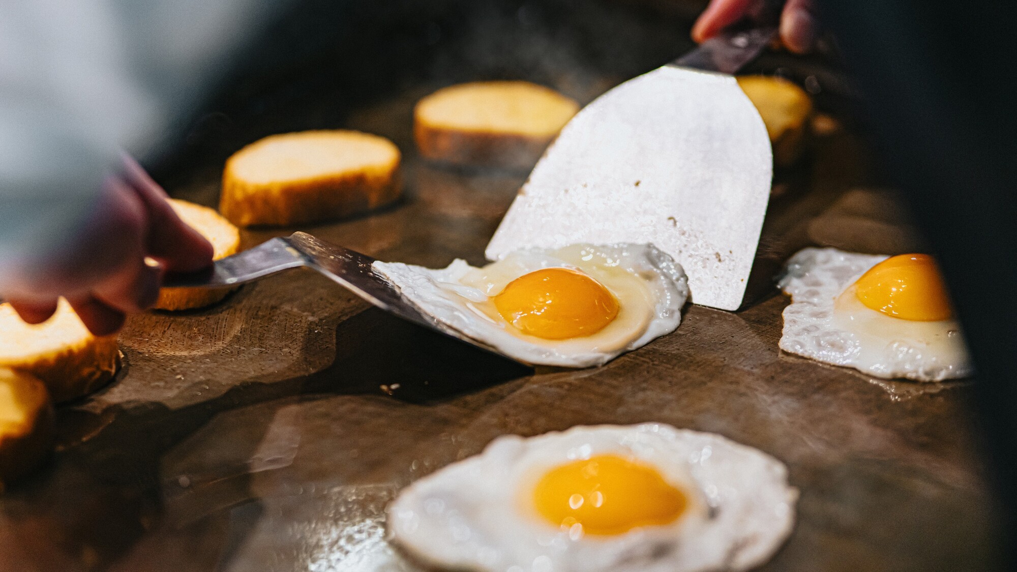 ライブキッチン