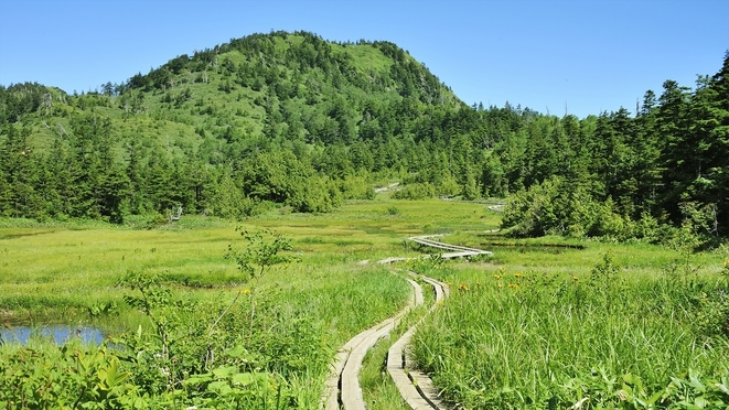 ＃【日帰りトレッキングプラン】＜お弁当付き＞大自然・大パノラマが広がる志賀高原を心行くまで満喫！
