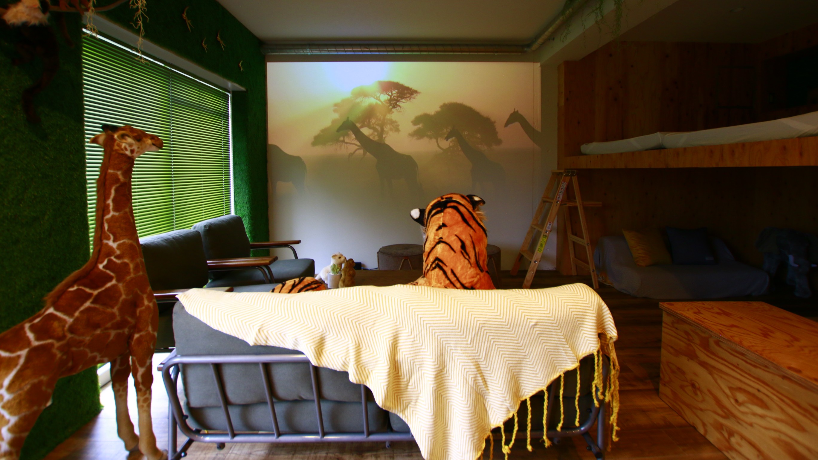 【個室】SAFARI 37.8㎡（定員：4名）