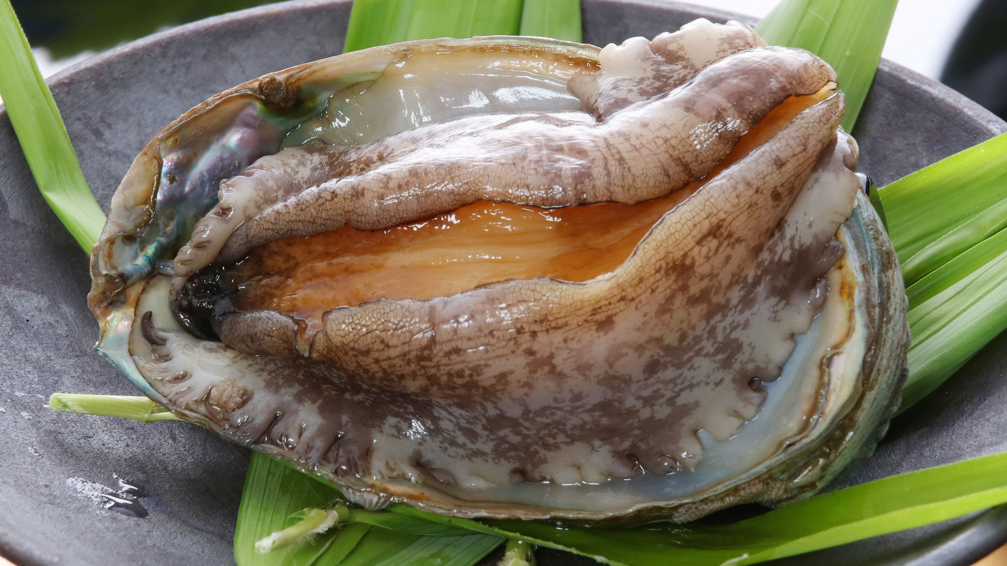あわび源泉蒸し