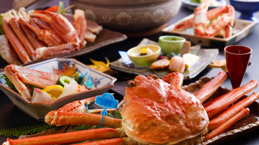 【城崎かに物語／早期特典内容ガン見】-Ｂ-津居山港水揚げタグ付茹で松葉蟹★一人一匹分/貸切温泉