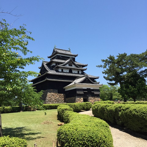 国宝松江城　初夏