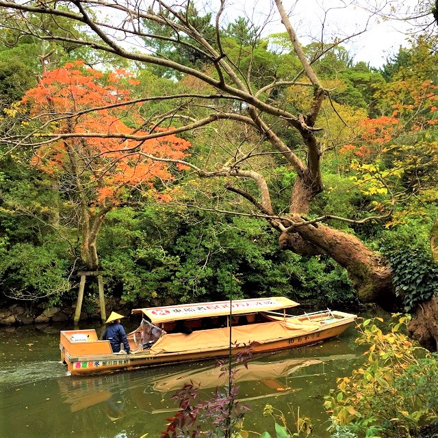 窓から見える景色