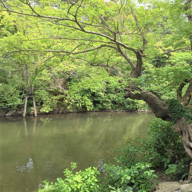 窓から見える景色