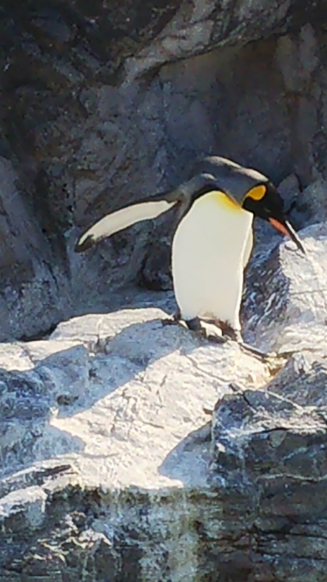 葛西臨海水族園