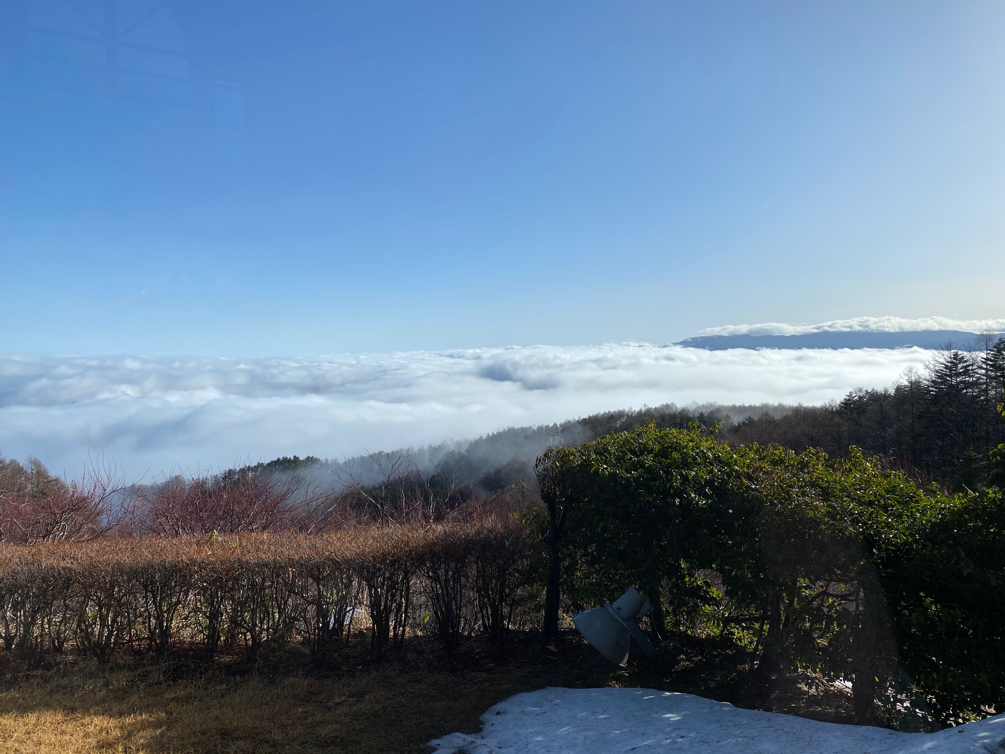 雲海