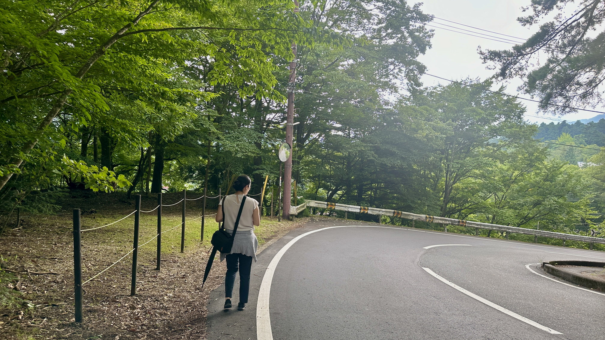 ホテルから東照宮まで徒歩10～15分程。 豊かな自然を眺めながら、歩いて行ける距離となっております。