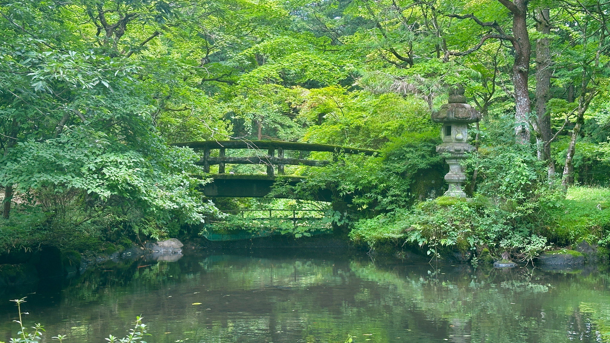 敷地内の庭園　池が中心にあります