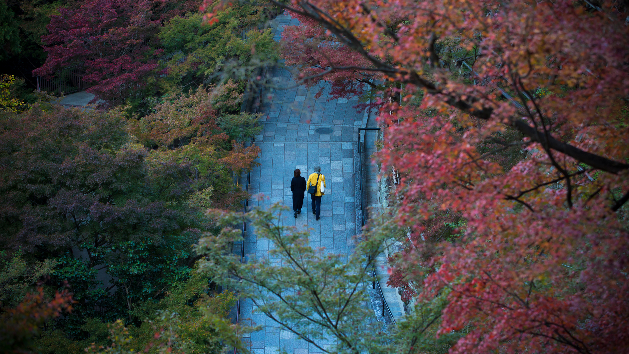 東山周辺の紅葉を秋の京都を散策しながらお愉しみください
