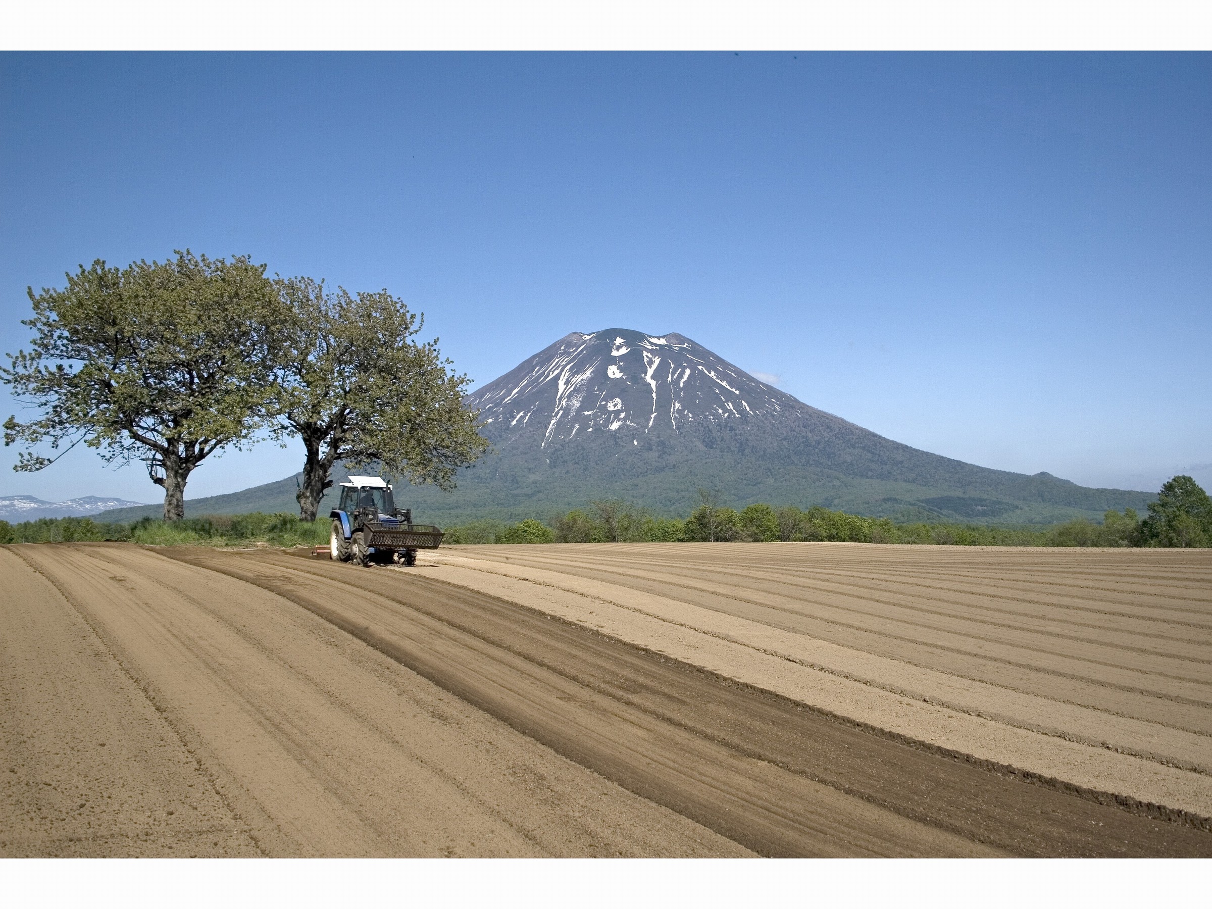 羊蹄山麓は散歩にもドライブにも最高！