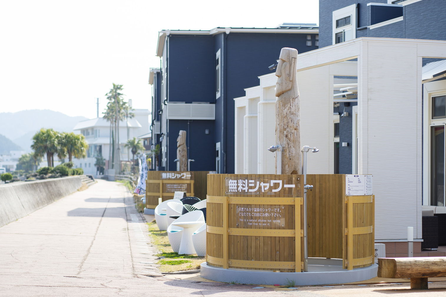 【春限定★素泊り温泉アメニティー付】色とりどりのお花♪春の陽気に青島宿泊プラン