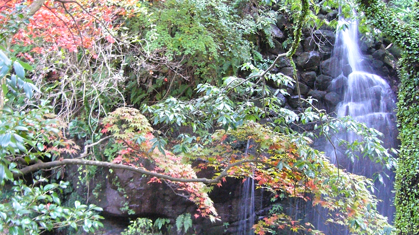 万葉公園：徒歩15分