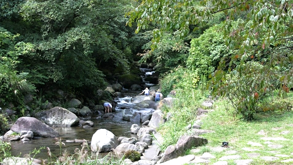 幕山公園：車で15分