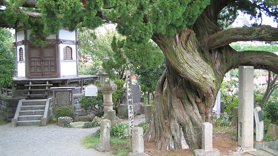 城願寺