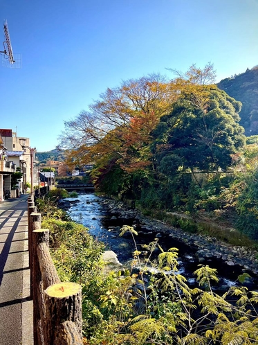 旅館近くの散歩道の秋景色