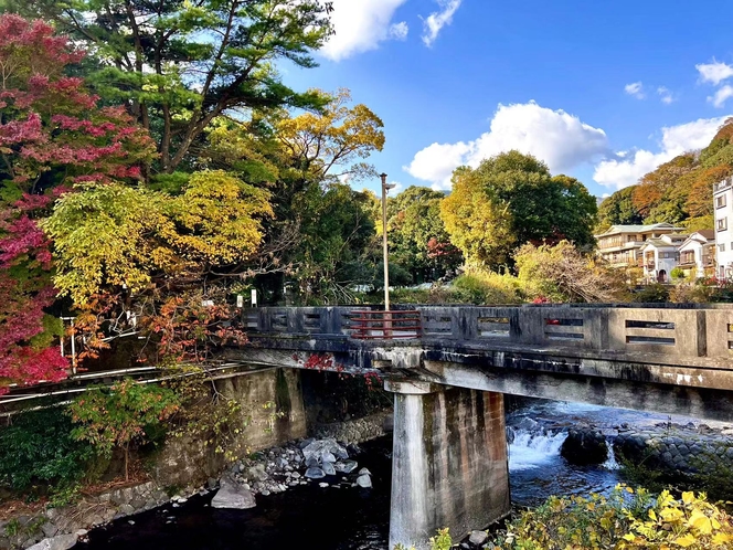 旅館近くの散歩道の秋景色