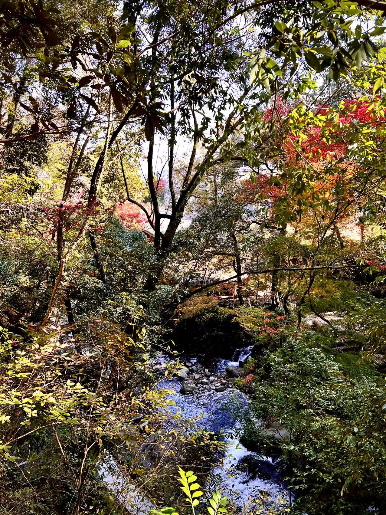 旅館近くの散歩道の秋景色