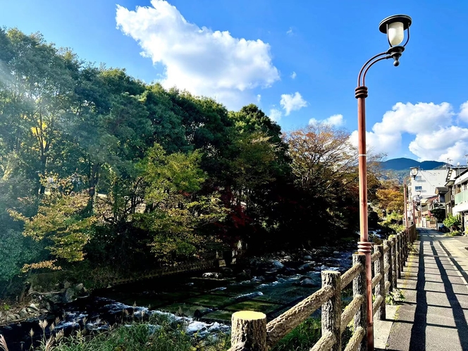 旅館近くの散歩道の秋景色