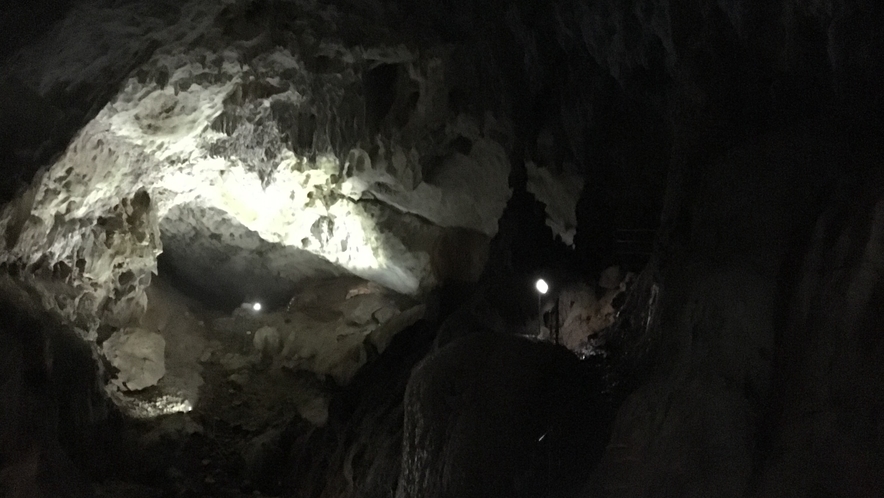 観光　秋芳洞　洞内の様子