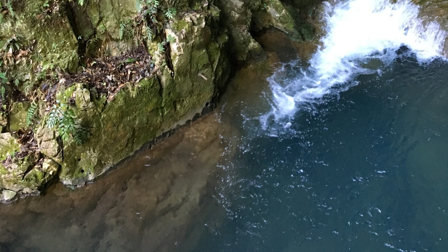 観光　秋芳洞　岩と湧水