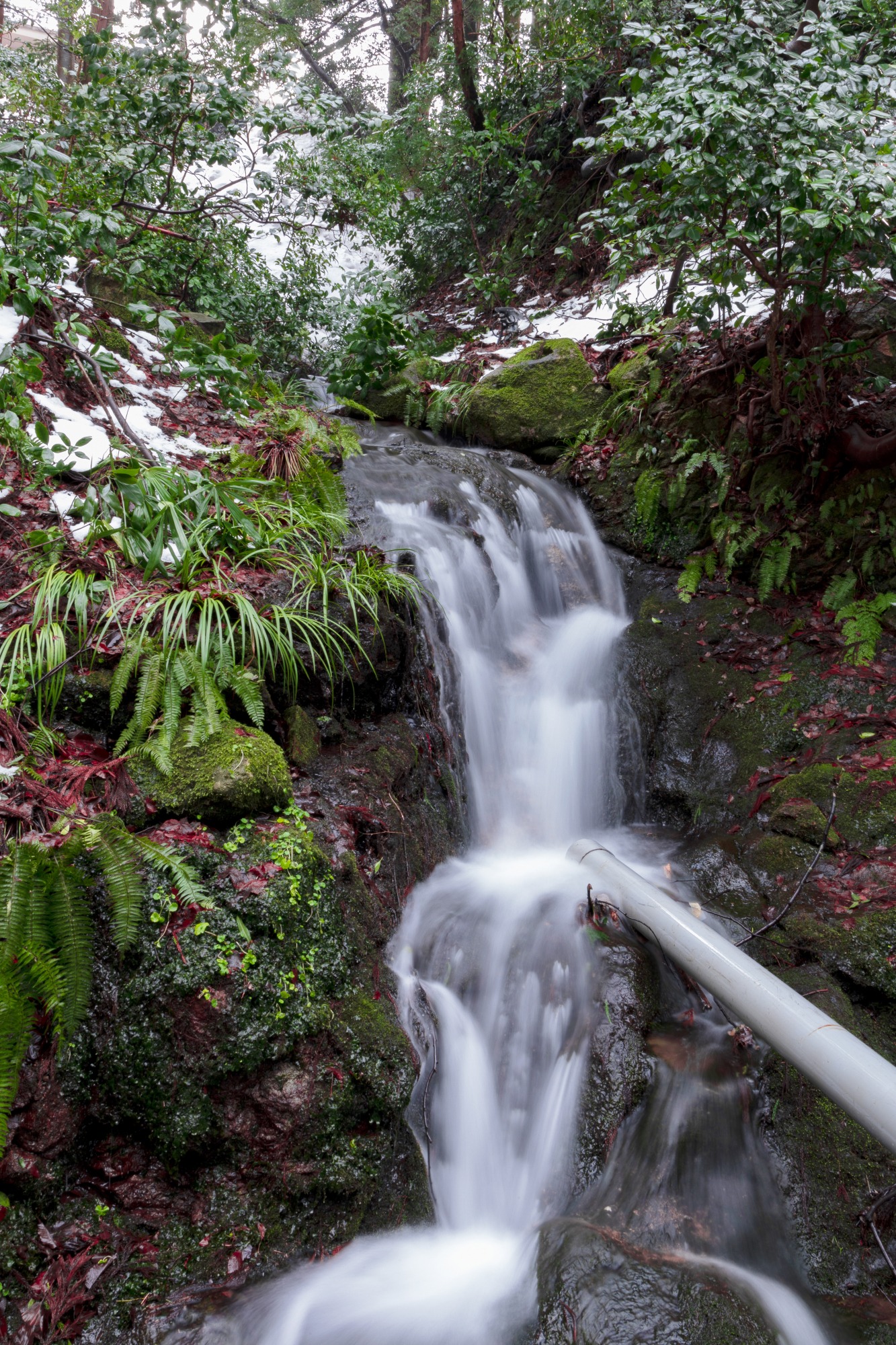ホテルグランビナリオＫＯＭＡＴＳＵ - 写真 47