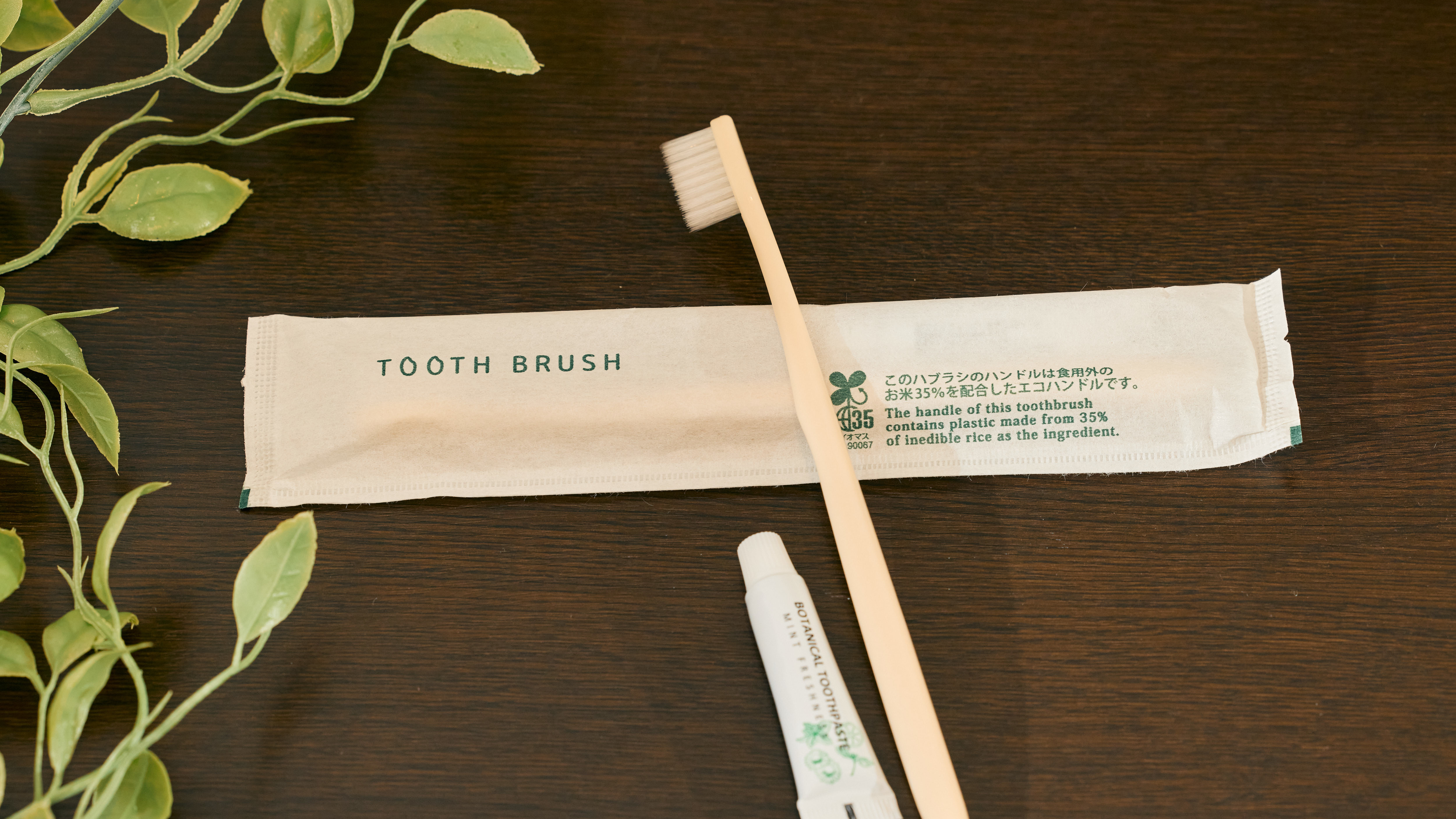 【歯ブラシ】お米でできた環境に優しい歯ブラシ　使い心地も抜群です