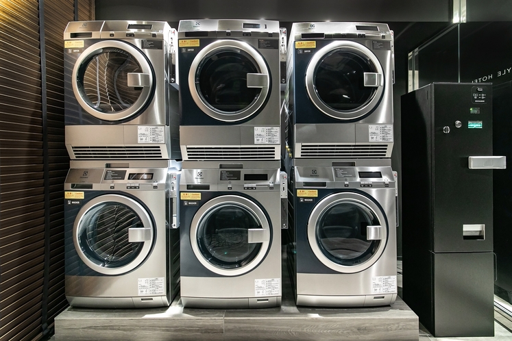 エレクトロラックス製の洗濯機・乾燥機を備えたランドリーエリア