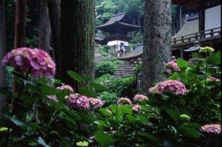 ホテルブルーレーク大津 - 写真 39