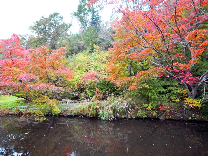 【渡り廊下】秋には池に映える紅葉の風景が広がります。
