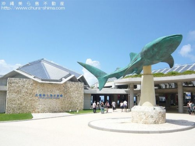 美ら海水族館